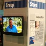 Sydney Olympic Park Sheep Sydney Olympic Park Sheep