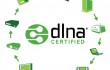 DNLA Certified logo