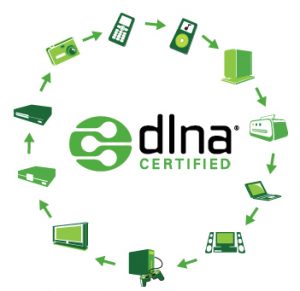 DNLA Certified logo DNLA Certified logo