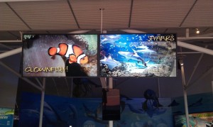 Digital Signage at Sydney Aquarium Digital Signage at Sydney Aquarium
