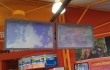 Digital Signage Sydney Wildlife LCD Screens
